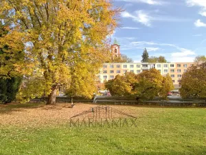 Prodej bytu 1+kk, Chodov, Palackého, 18 m2