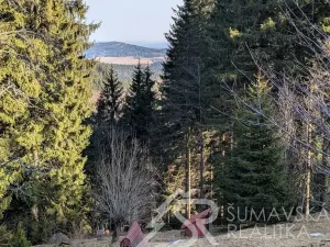 Prodej chaty, Hartmanice - Kochánov, 390 m2
