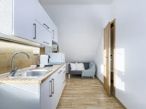 Pronájem bytu 1+kk, Zlín, Vejvanovská, 20 m2