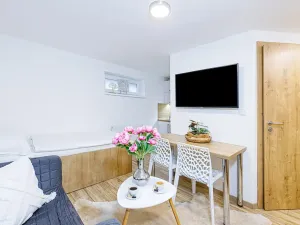 Pronájem bytu 1+kk, Zlín, Vejvanovská, 20 m2
