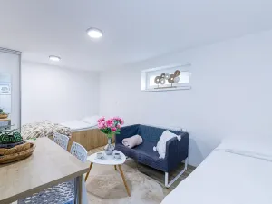 Pronájem bytu 1+kk, Zlín, Vejvanovská, 20 m2