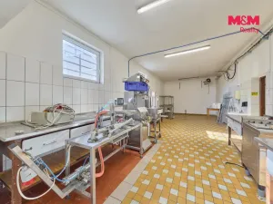 Prodej výrobních prostor, Trutnov - Dolní Předměstí, Lomní, 350 m2