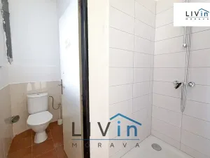 Pronájem obchodního prostoru, Olomouc, Smrčkova, 48 m2