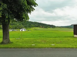 Prodej pozemku pro bydlení, Podhradí, 8000 m2
