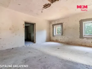 Prodej obchodního prostoru, Děčín - Děčín I-Děčín, Krokova, 293 m2