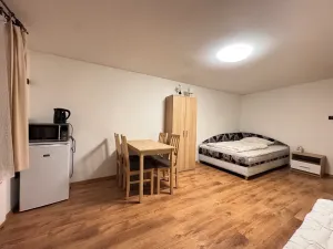Prodej vícegeneračního domu, Dubí, Údolí, 450 m2