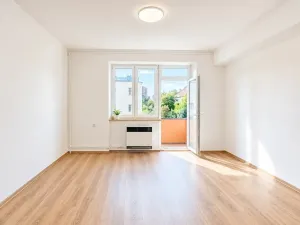 Prodej bytu 1+1, Brno, 52 m2