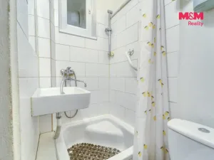 Prodej bytu 1+kk, Plzeň - Lobzy, Rokycanská, 30 m2