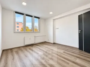 Pronájem bytu 2+1, Mladá Boleslav, 53 m2