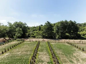 Pronájem bytu 1+kk, Slaný, Lázeňská, 34 m2