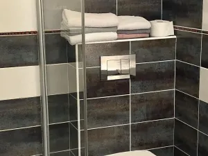 Prodej vícegeneračního domu, Hradec Králové, Všehrdova, 260 m2