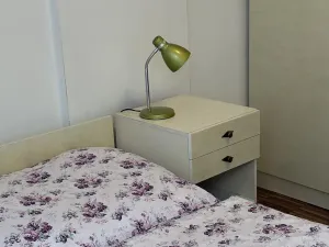 Prodej vícegeneračního domu, Hradec Králové, Všehrdova, 260 m2