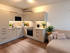 Pronájem bytu 2+kk, Olomouc, Loudova, 56 m2