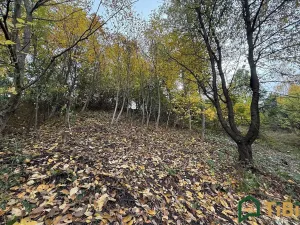 Prodej zahrady, Blansko, 541 m2