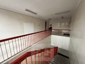 Prodej obchodního prostoru, Chomutov, Zahradní, 14070 m2