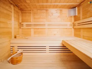 Prodej ubytování, Deštné v Orlických horách, 751 m2
