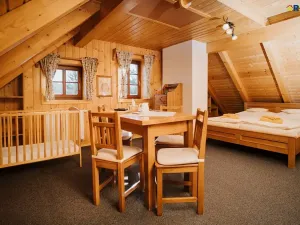 Prodej ubytování, Deštné v Orlických horách, 751 m2