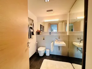 Prodej bytu 4+kk, Brno, Dřevařská, 172 m2