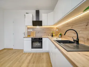 Pronájem bytu 1+1, Ústí nad Labem - Krásné Březno, Rozcestí, 41 m2