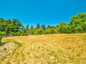 Prodej chaty, Březová-Oleško, Lomená, 47 m2