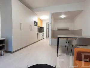 Pronájem bytu 1+kk, Praha - Žižkov, Hartigova, 34 m2