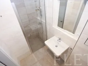 Pronájem bytu 1+kk, Praha - Karlín, U Mlýnského kanálu, 36 m2