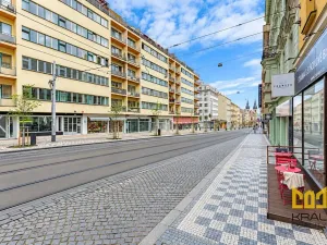Pronájem bytu 3+kk, Praha - Holešovice, Milady Horákové, 111 m2