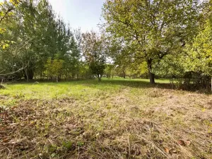 Prodej chalupy, Višňová, 155 m2