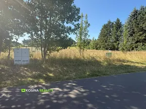 Prodej pozemku pro bydlení, Kynšperk nad Ohří, Petra Bezruče, 4145 m2