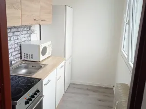 Pronájem bytu 1+1, Most, Růžová, 27 m2