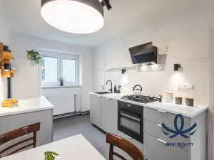 Pronájem bytu 2+1, Mladá Boleslav, Erbenova, 56 m2