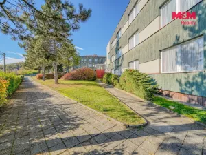 Prodej obchodního prostoru, Přimda, Severní, 30198 m2