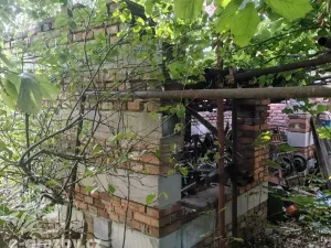 Dražba rodinného domu, Nový Bydžov, Dr. F. L. Riegra, 136 m2