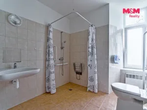 Pronájem bytu 1+kk, Vlčice, 36 m2
