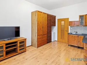 Prodej bytu 2+kk, Praha - Žižkov, Havlíčkovo náměstí, 34 m2