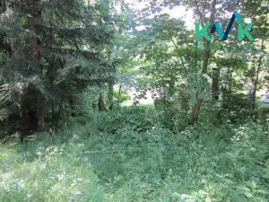 Prodej pozemku, Nejdek, 3489 m2