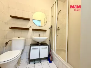 Pronájem bytu 1+kk, Brno - Zábrdovice, Koliště, 31 m2