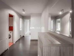 Pronájem bytu 4+kk, Praha - Vinohrady, Mánesova, 130 m2