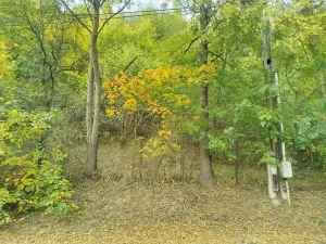 Prodej pozemku pro bydlení, Jílové u Prahy, 881 m2
