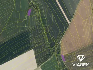 Prodej podílu pole, Vysoké Mýto, 1047 m2