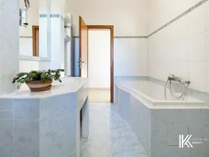 Prodej rodinného domu, Hrochův Týnec, 356 m2