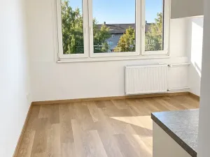 Pronájem bytu 1+kk, Písek, Harantova, 20 m2