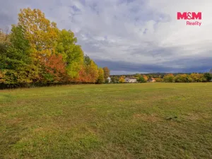 Prodej louky, Lužany - Zelené, 5700 m2