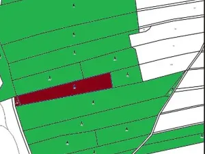 Prodej lesa, Načeradec, 3795 m2