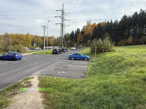 Prodej bytu 3+1, Sokolov, Mánesova, 64 m2