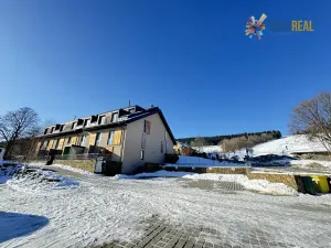 Prodej apartmánu, Dolní Morava, 48 m2