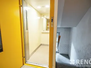 Pronájem bytu 3+1, Brno, Běly Pažoutové, 74 m2