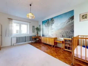 Prodej rodinného domu, Týniště nad Orlicí, Olšina, 100 m2