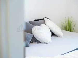 Pronájem bytu 2+kk, Polná, Pojmannova, 40 m2
