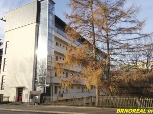 Pronájem bytu 2+kk, Brno, Dvorského, 43 m2
